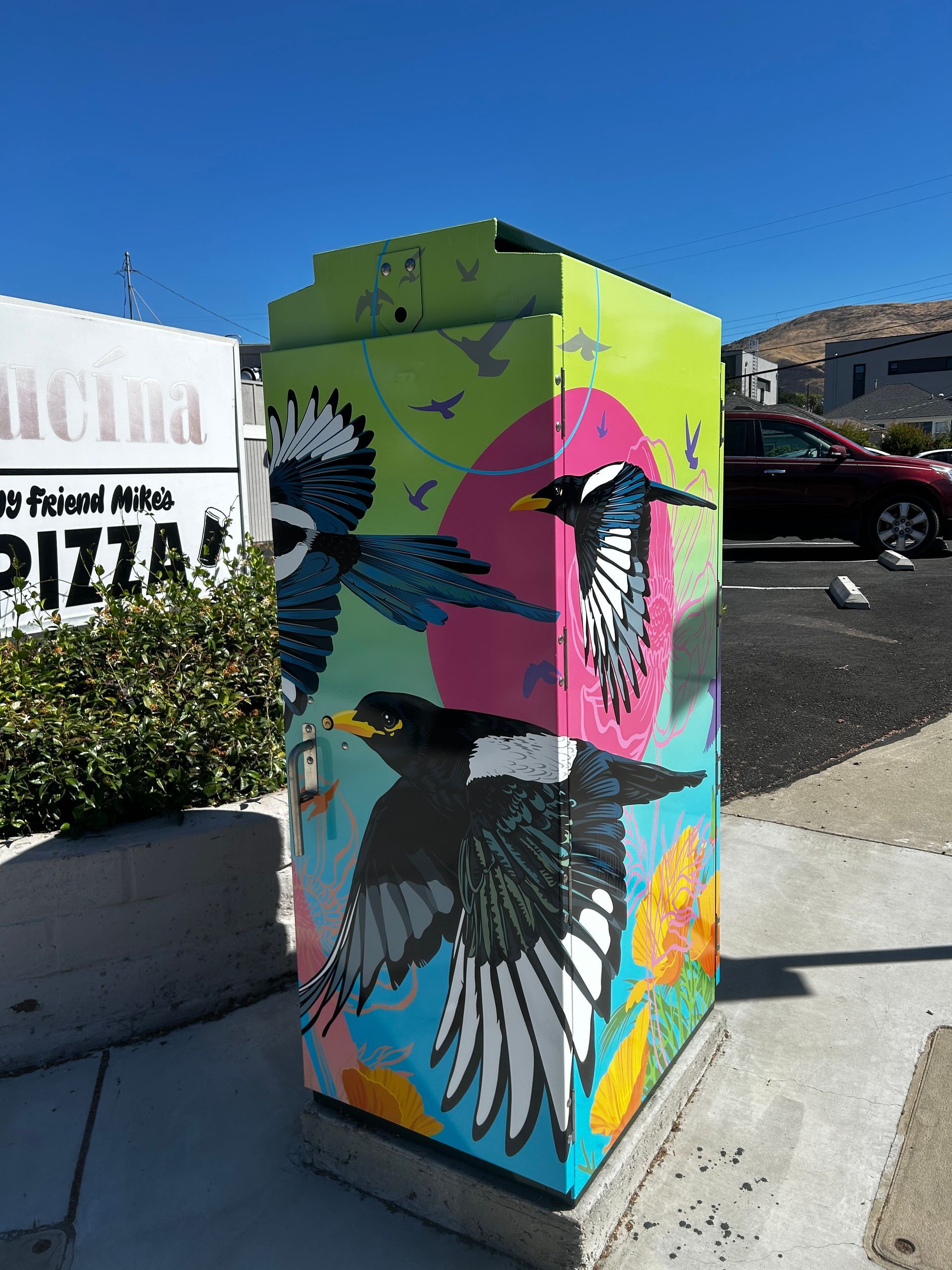 Colorful painted utility box with bird mural on a sunny sidewalk near a pizza sign