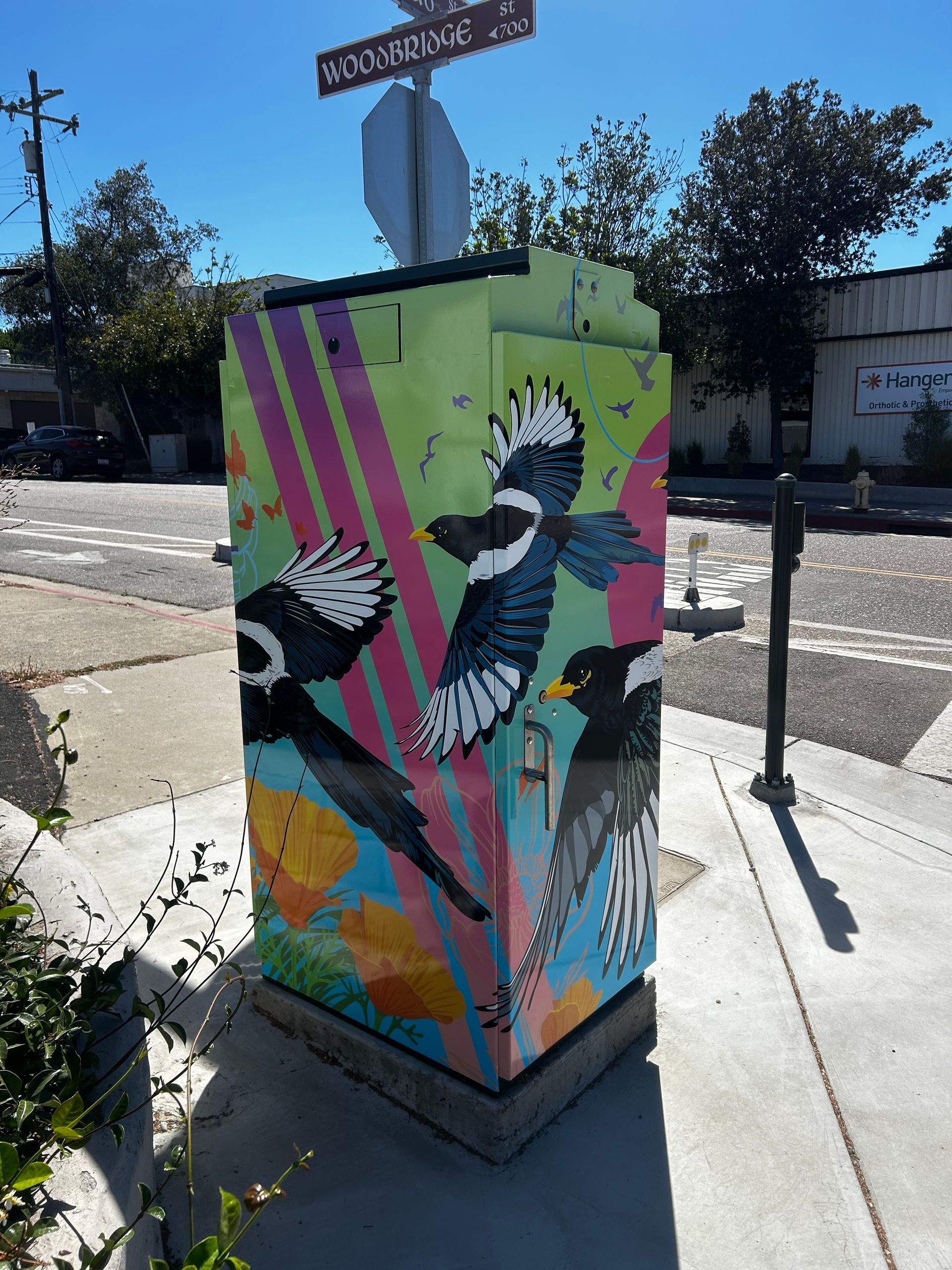 Colorful utility box with bird mural on a sunny street corner