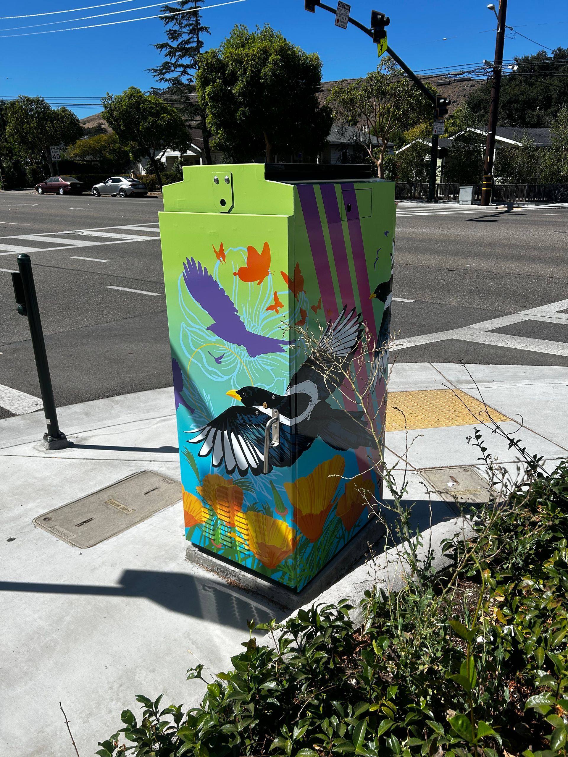 Painted utility box with colorful bird and floral mural on a sunny street corner