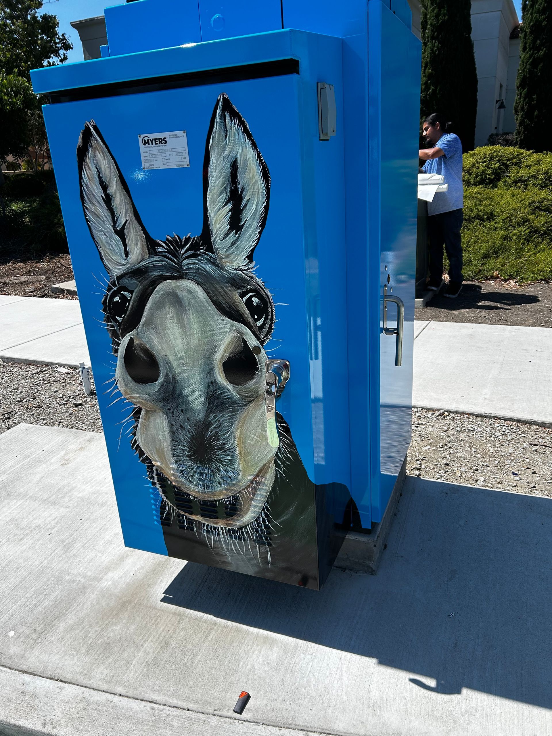 Blue utility box with a painted donkey face mural on the front outdoors