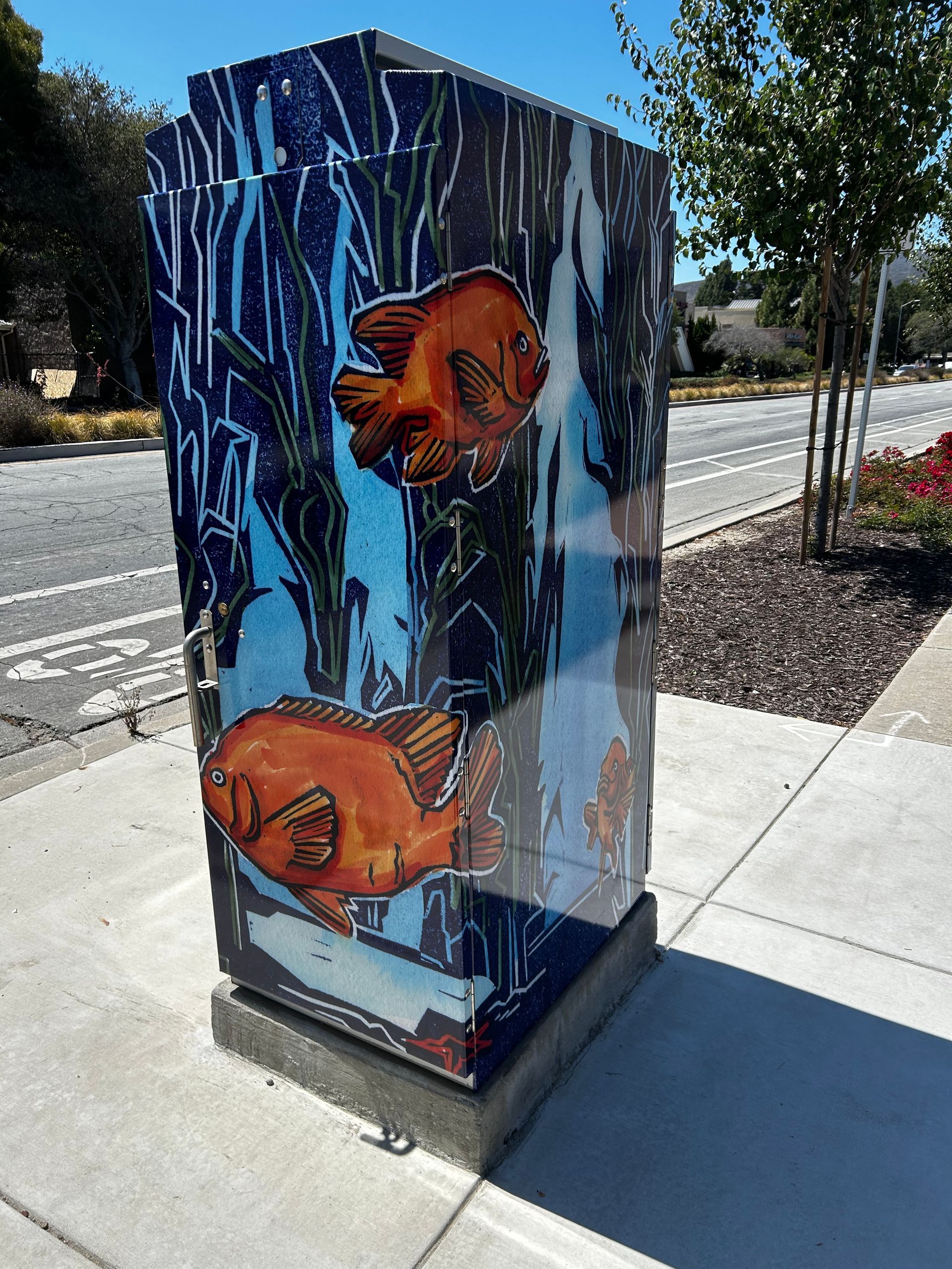 Graffiti-covered utility box with orange fish mural on a sunny sidewalk near the street