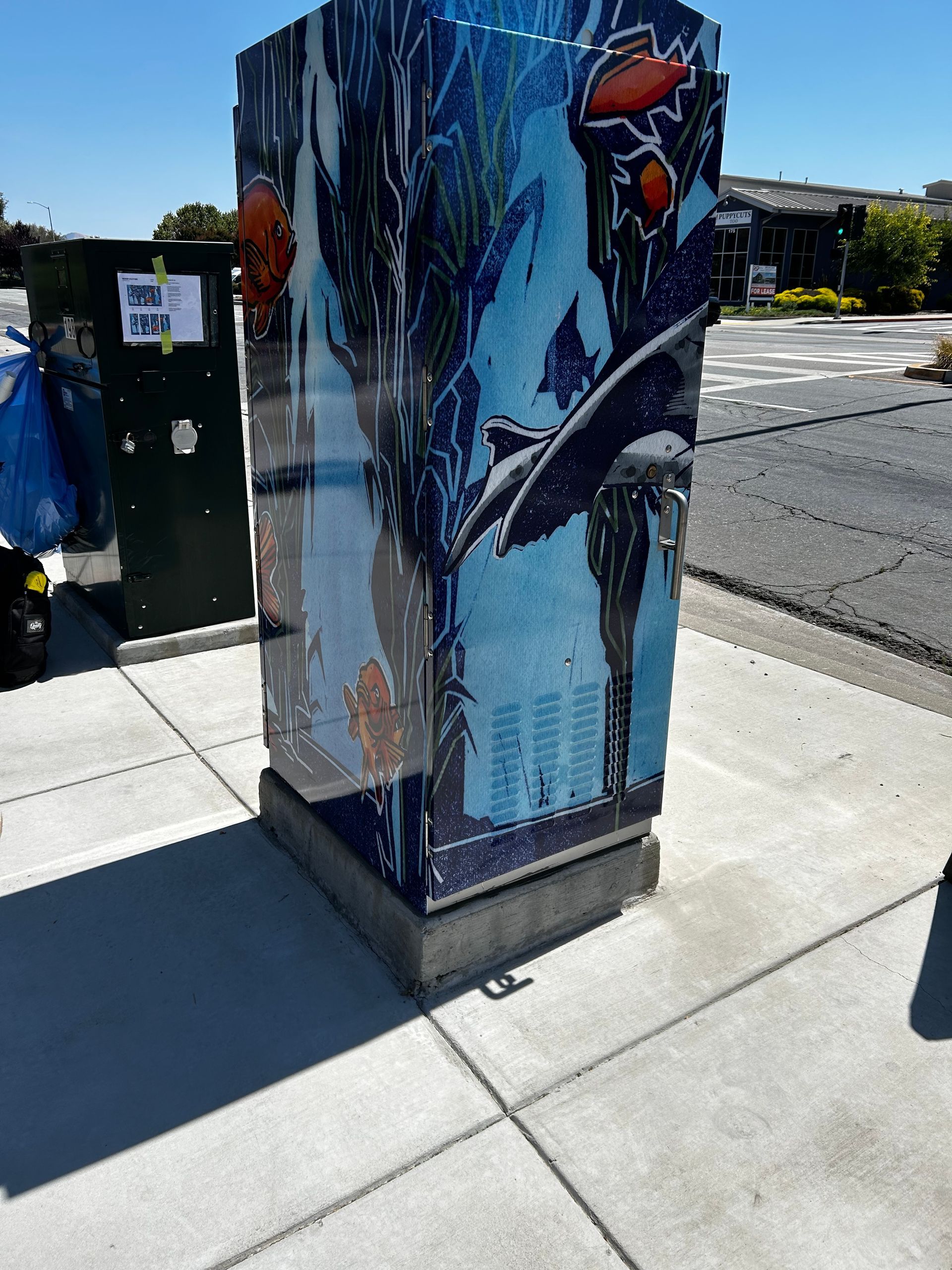 Painted utility box with a blue sports mural on a sunny sidewalk corner