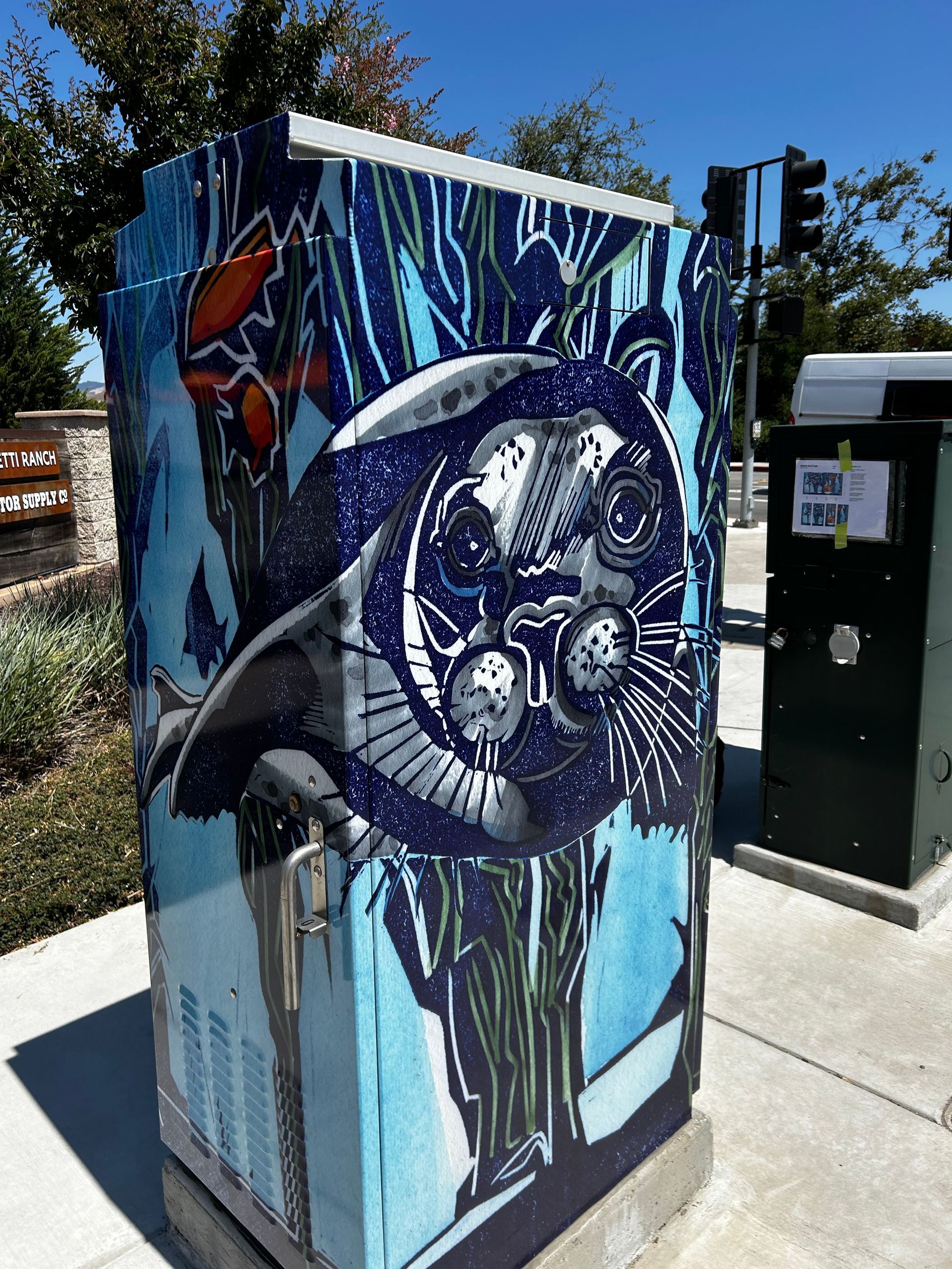 Graffiti-painted utility box with a large fish mural on a sidewalk near traffic lights