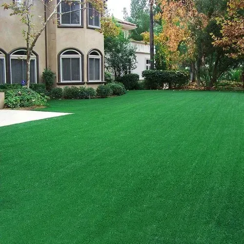 Lush green lawn beside a beige house with arched windows and trees in the yard