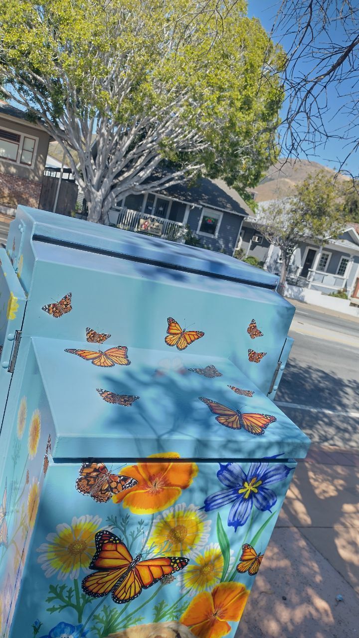 Butterfly-painted blue utility box on a sunny street with houses and trees in the background