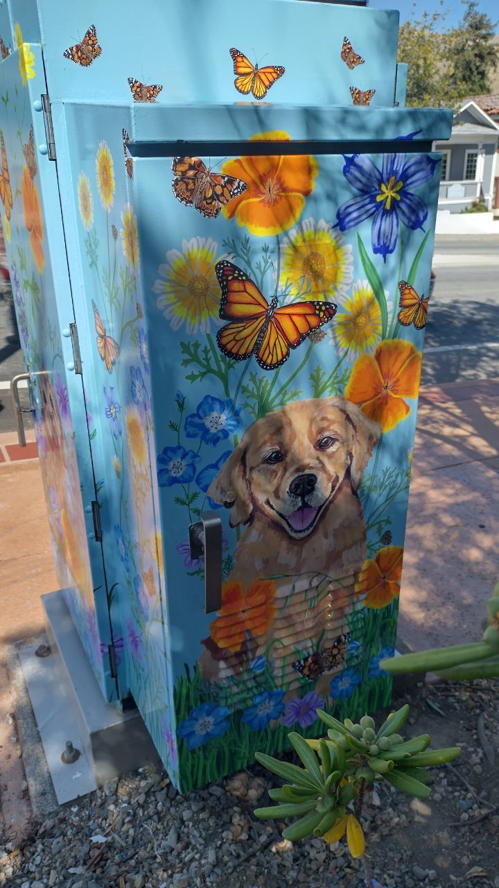 Colorful painted utility box with butterflies and a dog portrait on a sunny sidewalk