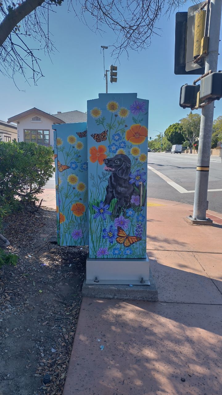Colorful utility box mural with flowers, butterflies, and a hummingbird on a sunny sidewalk corner