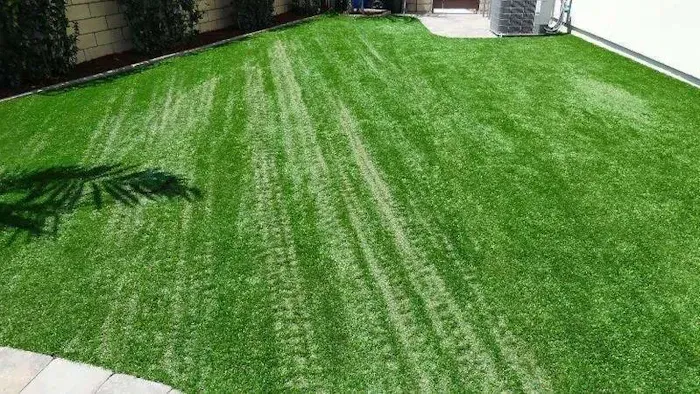 Freshly mowed green lawn with visible mower stripes in a backyard garden