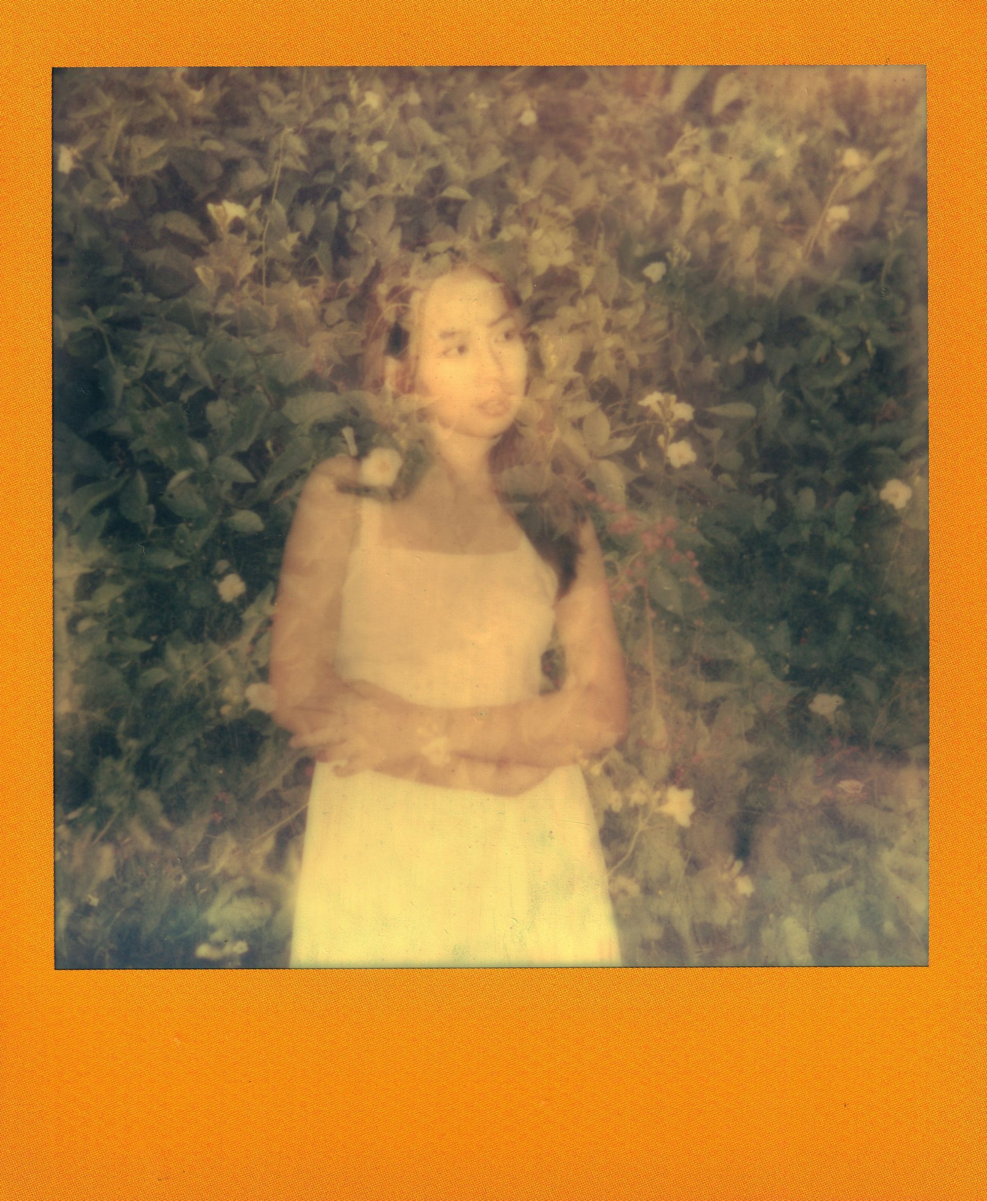 A woman in a white dress stands before dense foliage in a soft, painterly portrait.