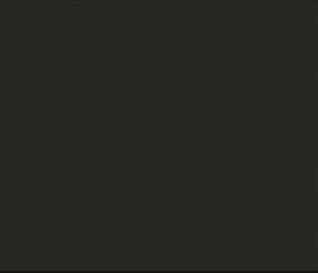 Absolute Black