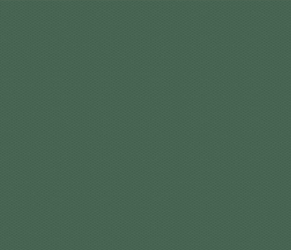 Basil Honeycomb - solids collection photo