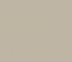 Elegant Gray Solid Surface Corian