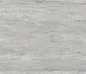 Gray Beola Photo