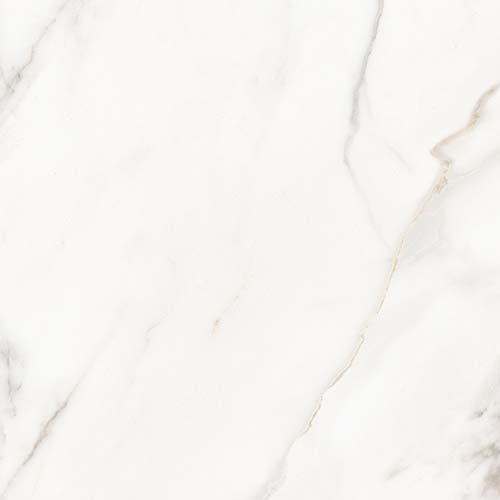 Calacatta Lucca Matte Porcelain