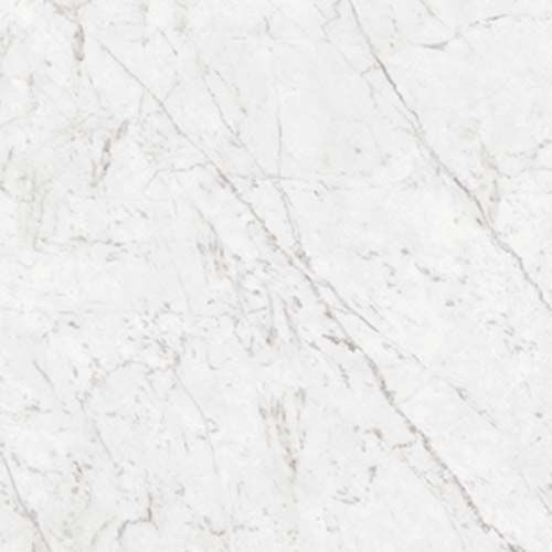 Carrara Polished Porcelain