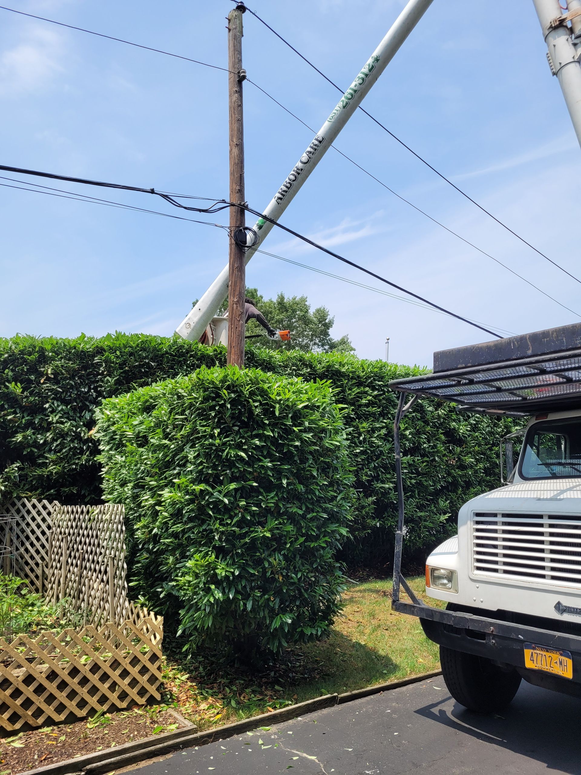 Utility pole and overhead wires beside a hedge-lined driveway, with the front of a white truck visible.