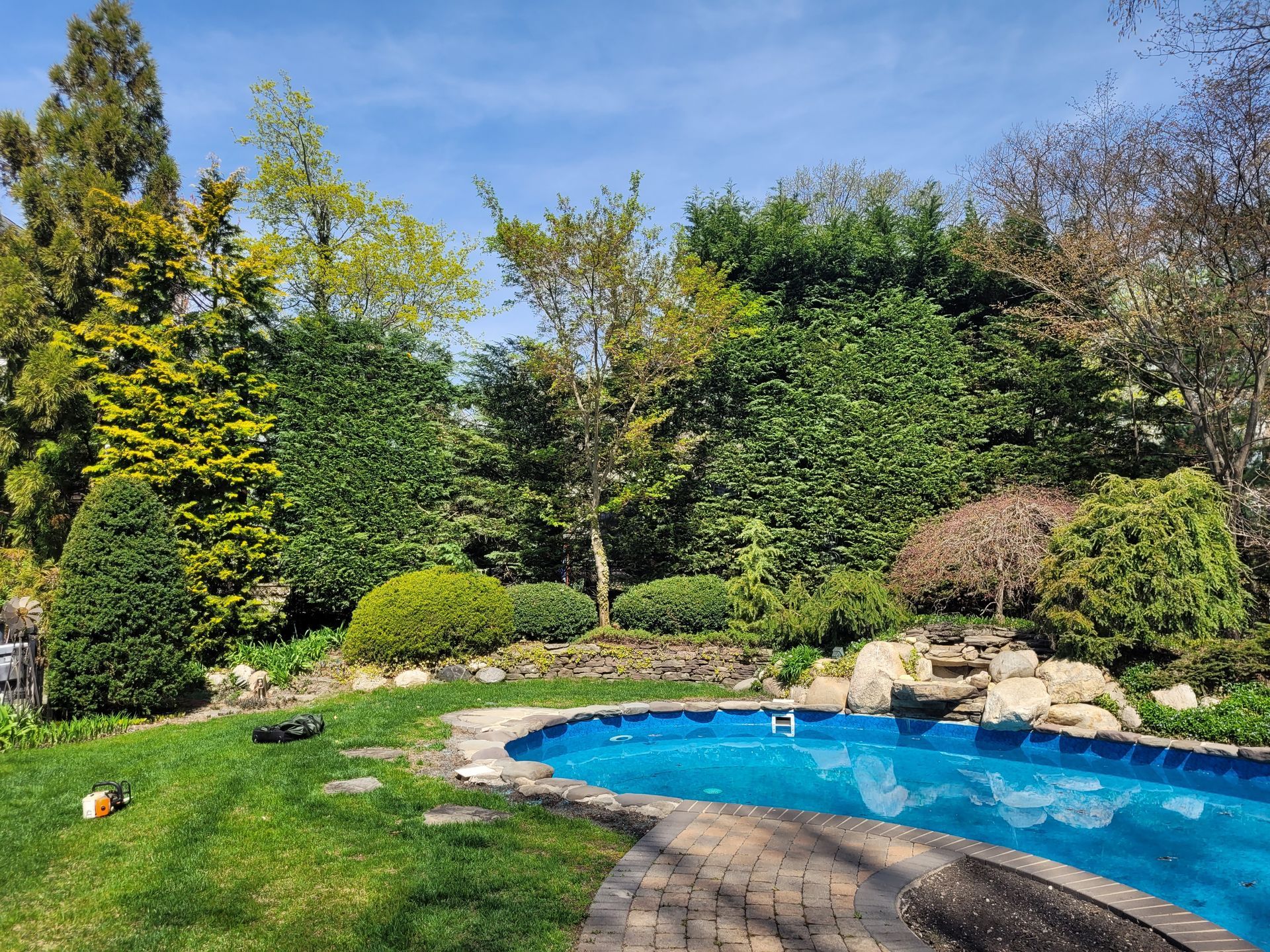 Backyard swimming pool surrounded by lush green trees and shrubs on a sunny day