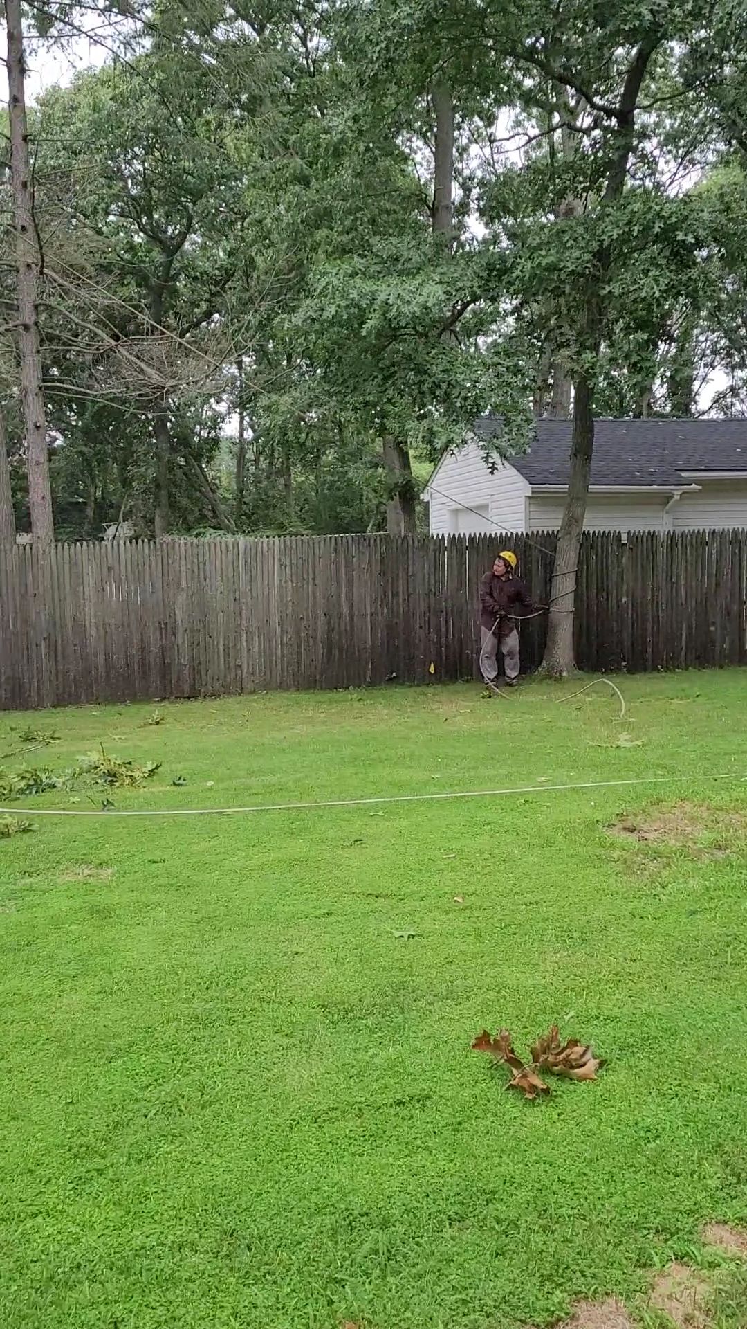 Grassy backyard with a wooden fence, trees, and two people standing near the fence by a small shed