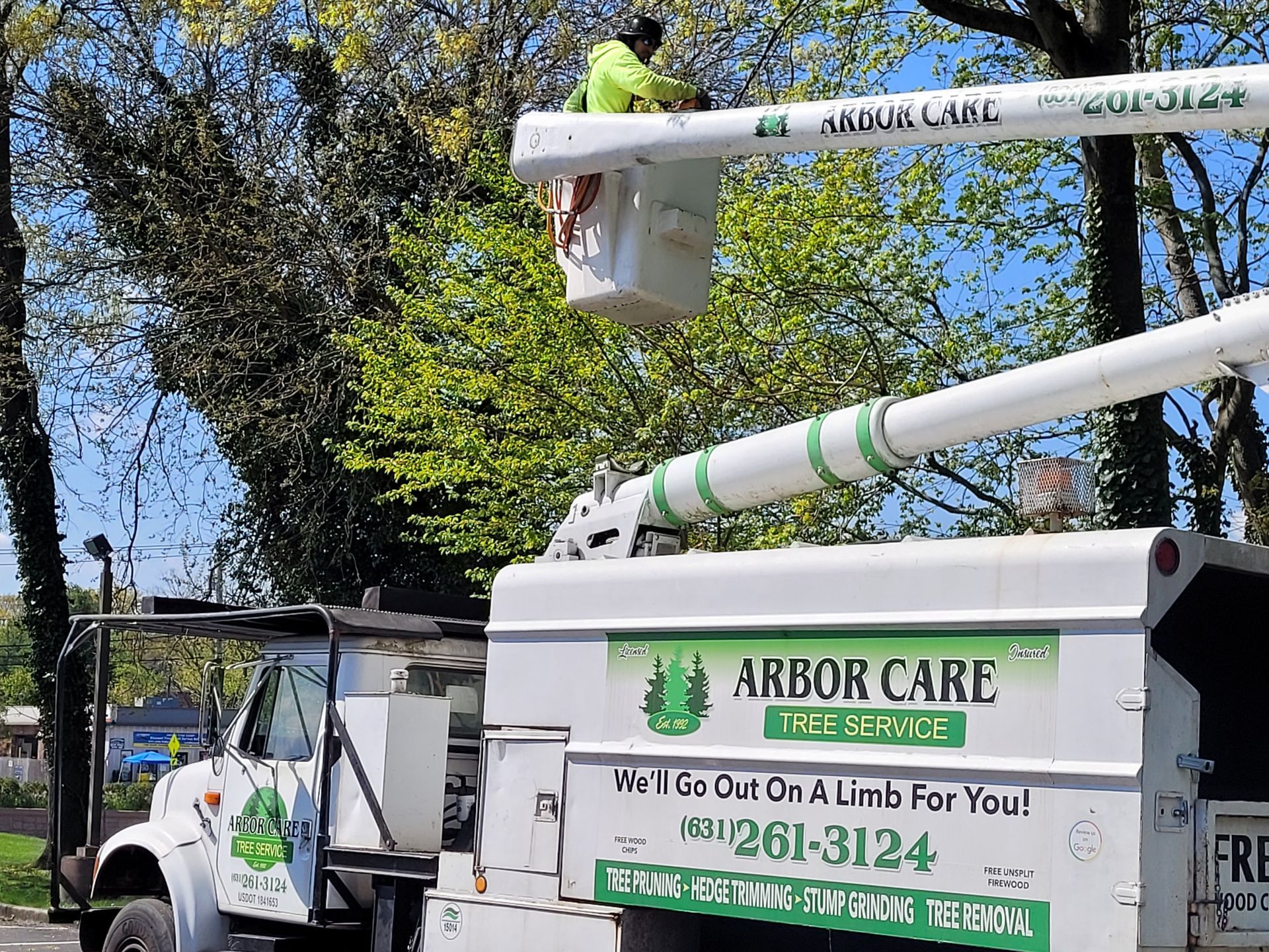 Two arborists in bucket trucks trimming trees beside a white Arbor Care truck