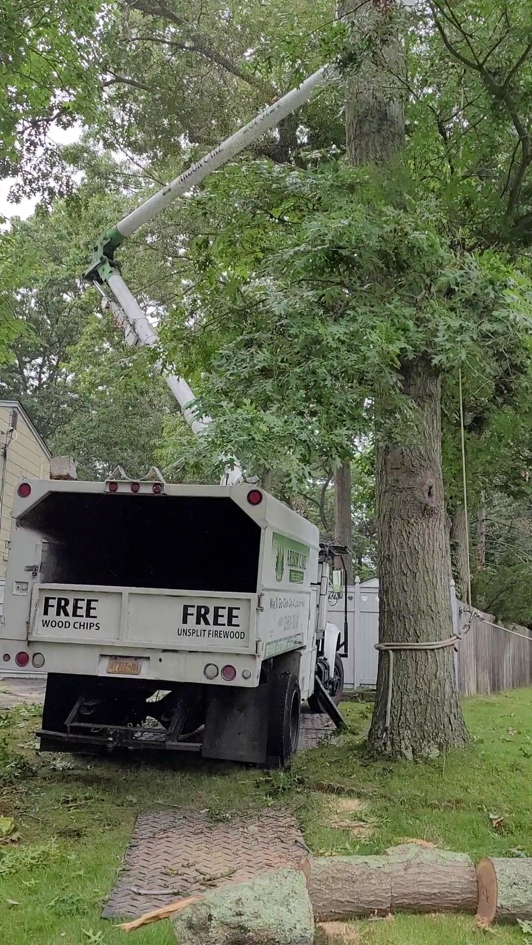 White tree service truck with raised boom parked on a tree-lined street, beside a cut tree trunk