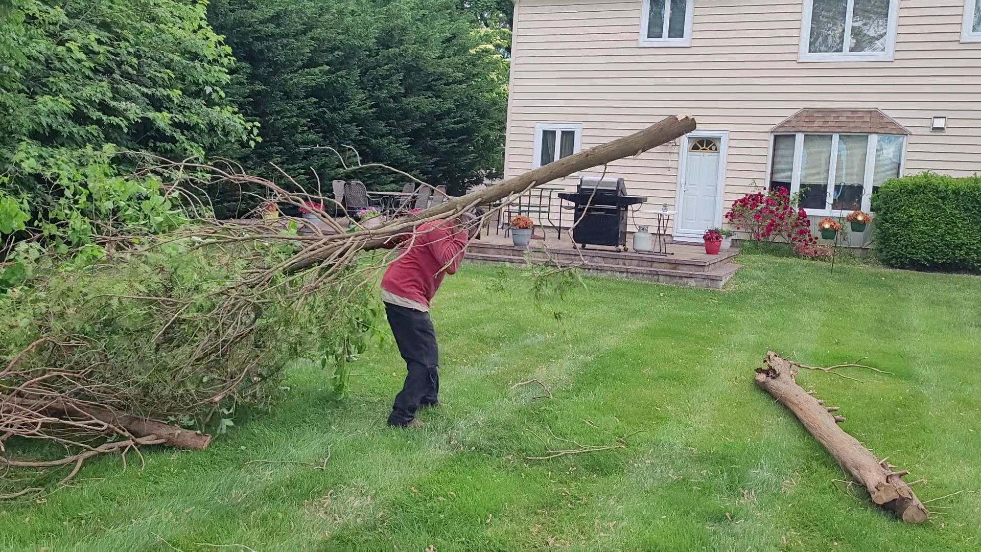 Person lifting a long tree branch in a grassy yard beside a house, with another branch on the lawn