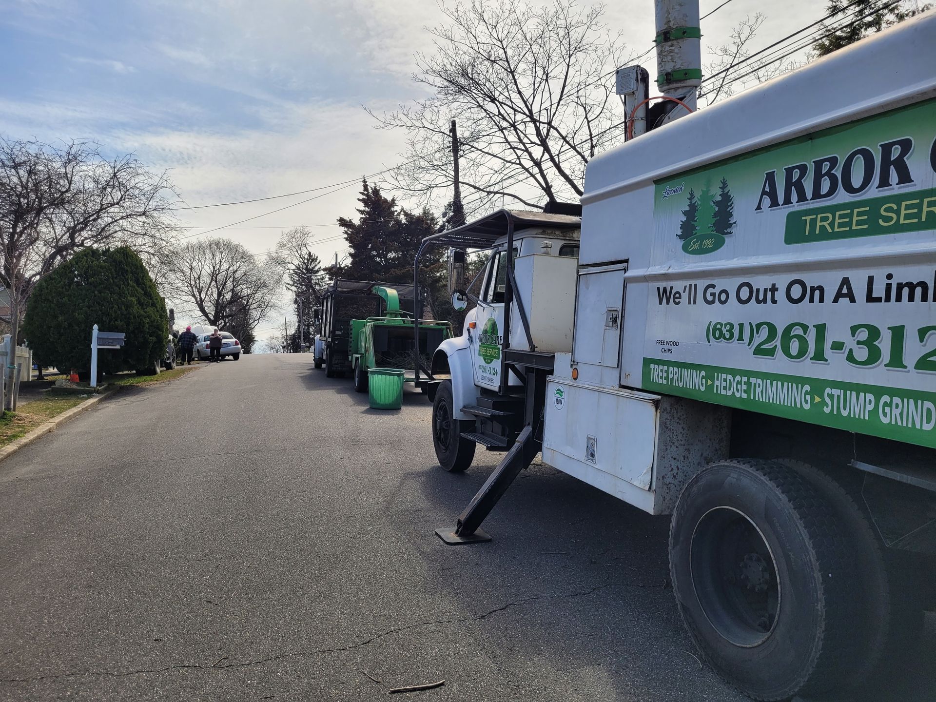Tree service truck parked on a residential street with workers and green equipment beside it