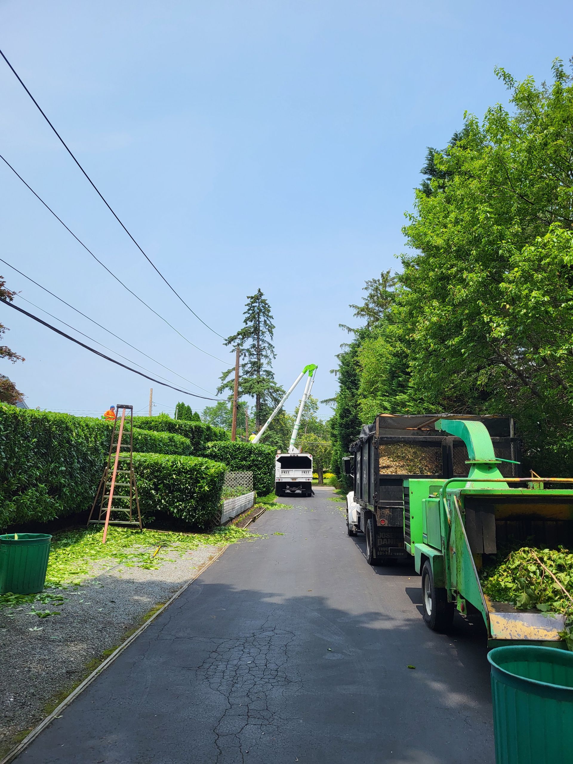 Narrow paved lane with hedges, power lines, a white van ahead, and a green vehicle on the right.
