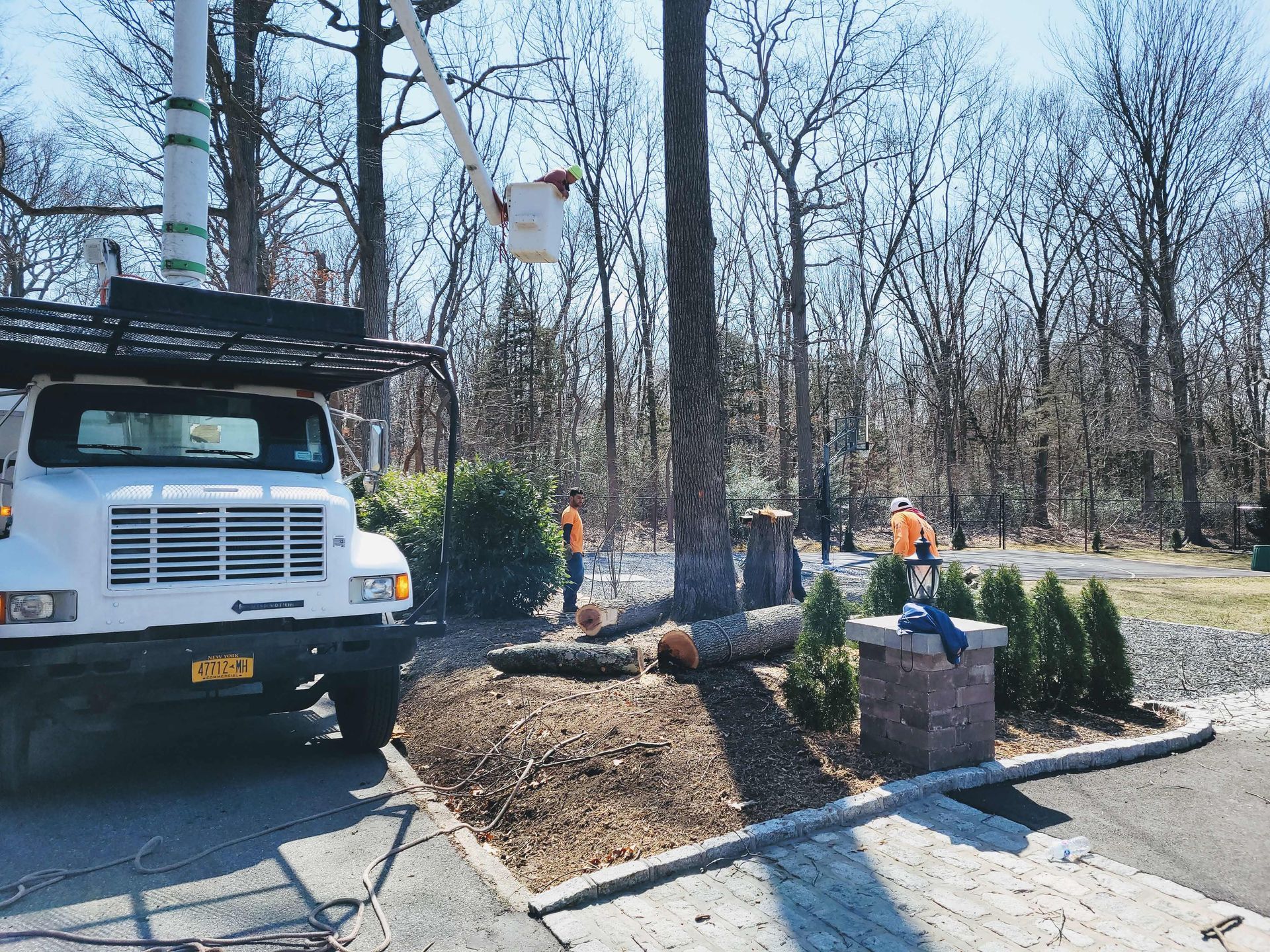 Utility truck and workers landscaping around a roadside memorial with evergreen shrubs and flowers.