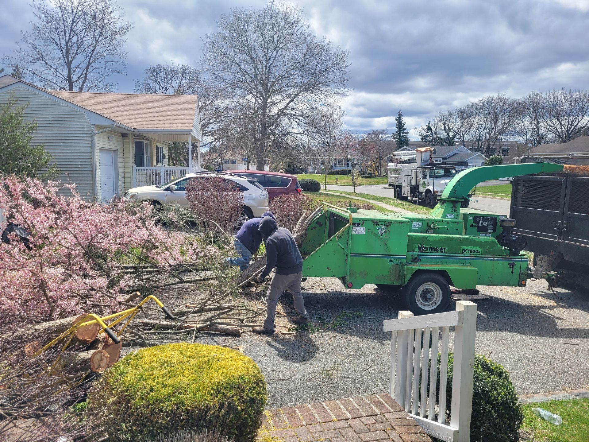 Workers load tree branches into a green wood chipper in a suburban yard on a sunny day.