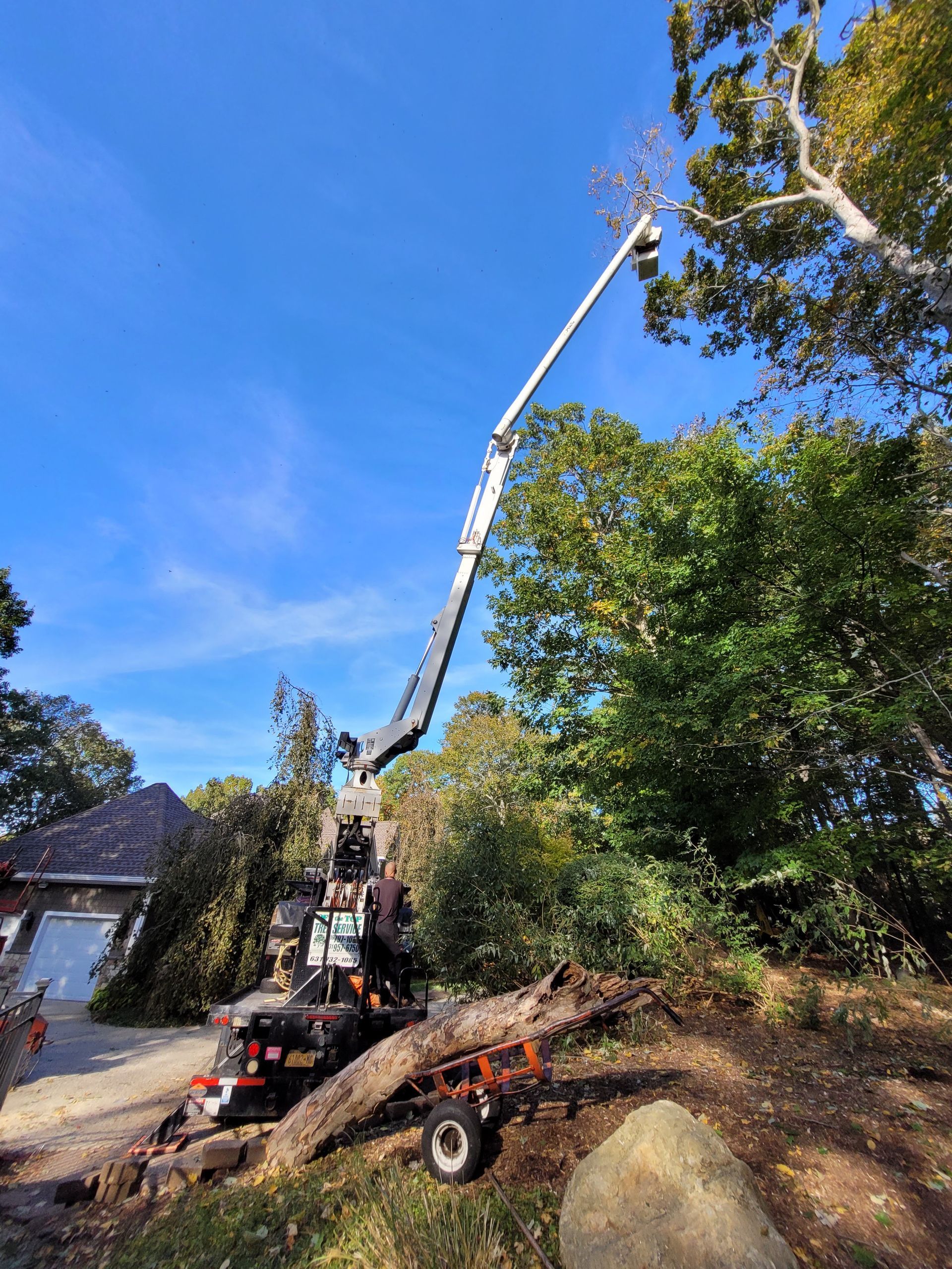 Tree removal crew using a crane to lift branches beside a house under a blue sky