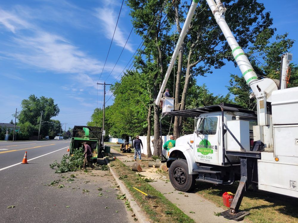 Utility crew trimming fallen tree limbs beside a road, with a bucket truck and traffic cones.