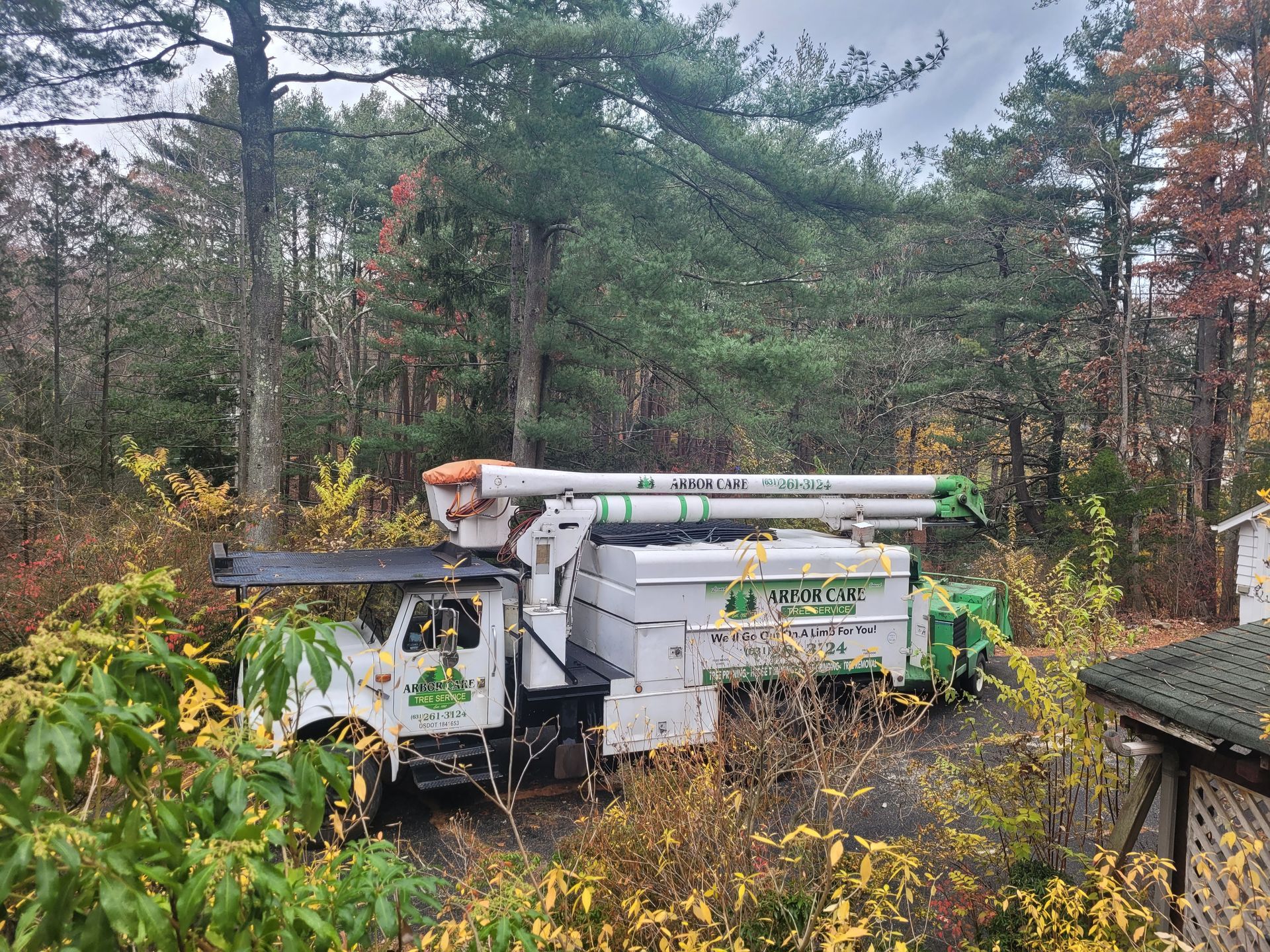 White utility truck parked in a wooded yard among autumn trees and brush