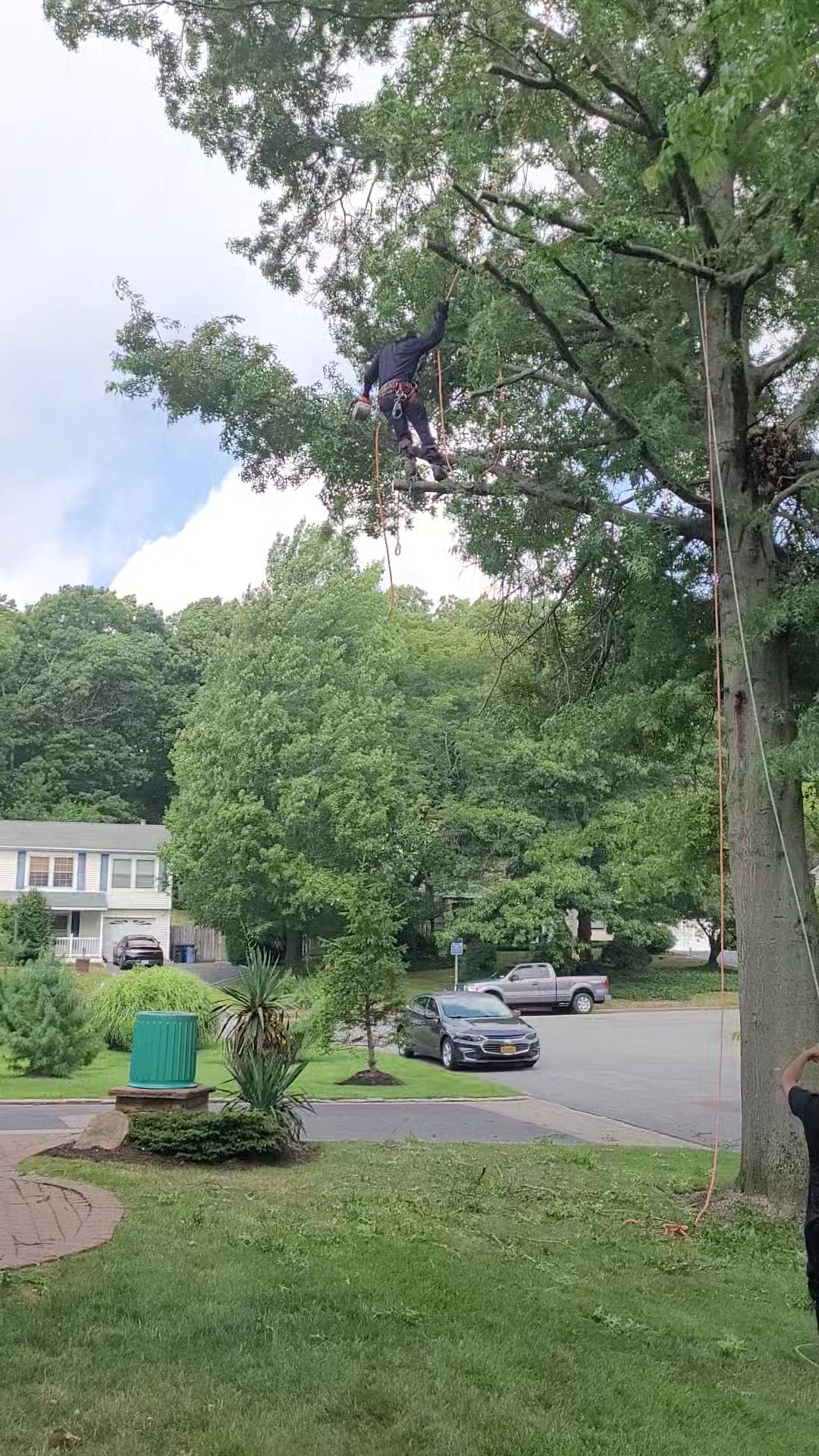 Tree service worker in a bucket lift trimming branches in a leafy suburban yard, with houses and parked cars nearby.