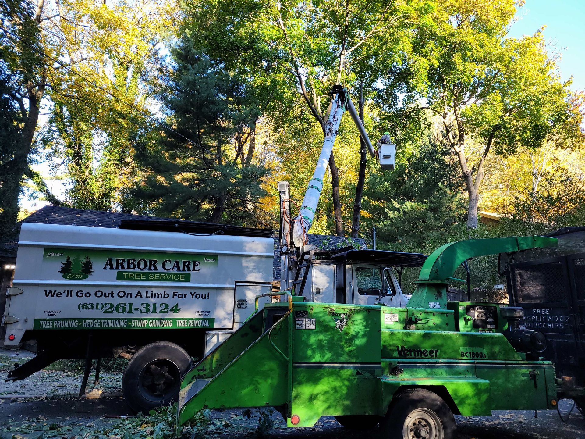 Green Arbor Care tree service truck and bucket lift parked under trees in a wooded area