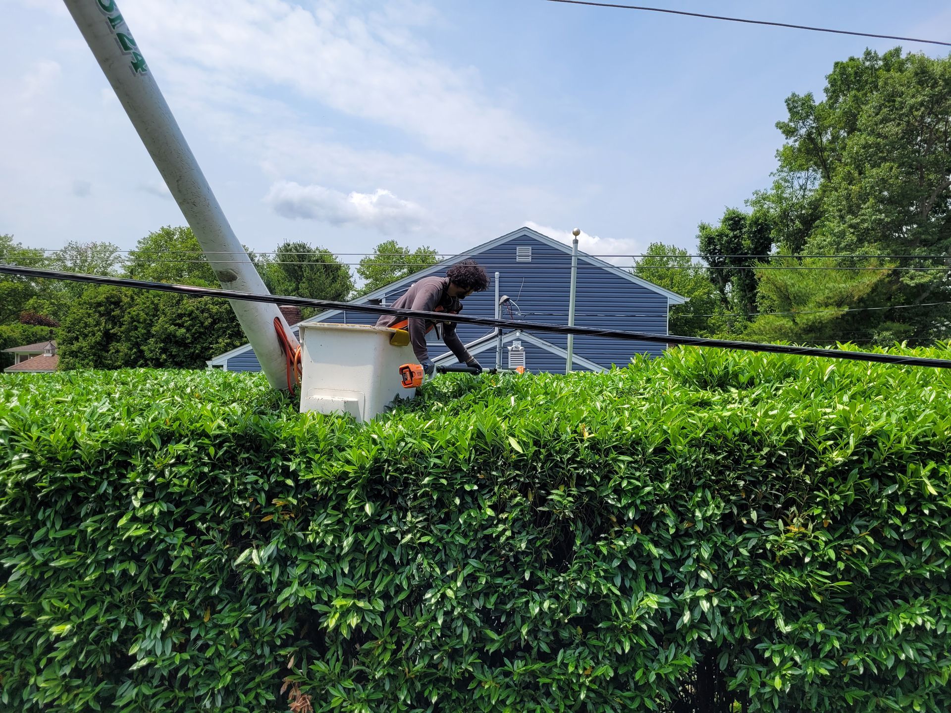 Utility worker on a bucket lift trimming a hedge beside a roadside under a blue sky