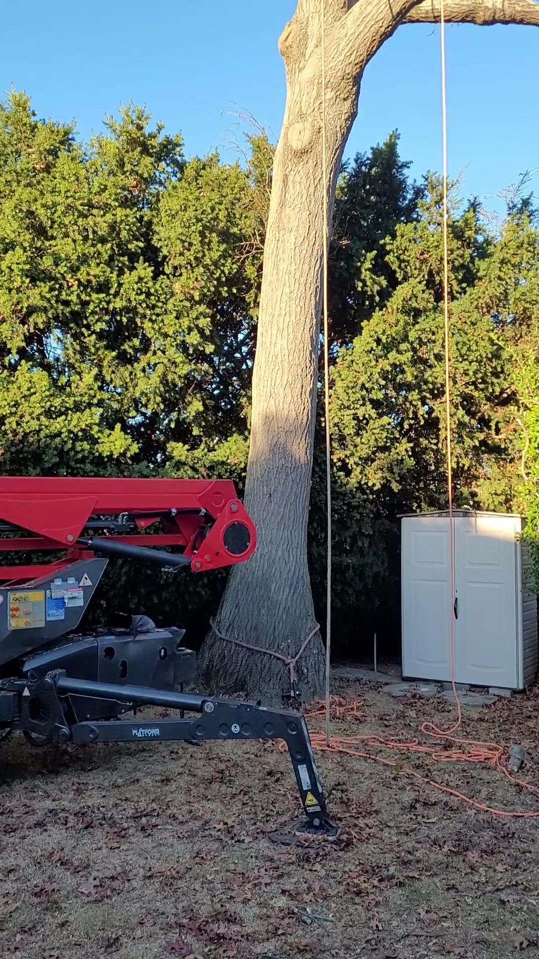 Red trailer hitched to a black truck beside a large tree with a hanging white cabinet outdoors