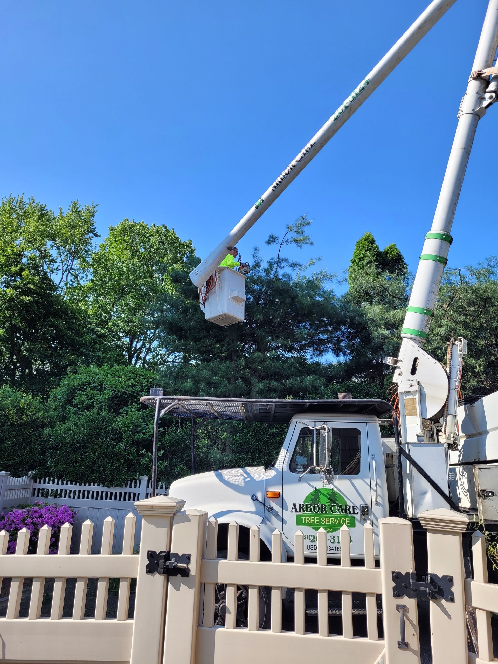 Utility truck with bucket lift parked behind a white fence, reaching toward trees under a blue sky