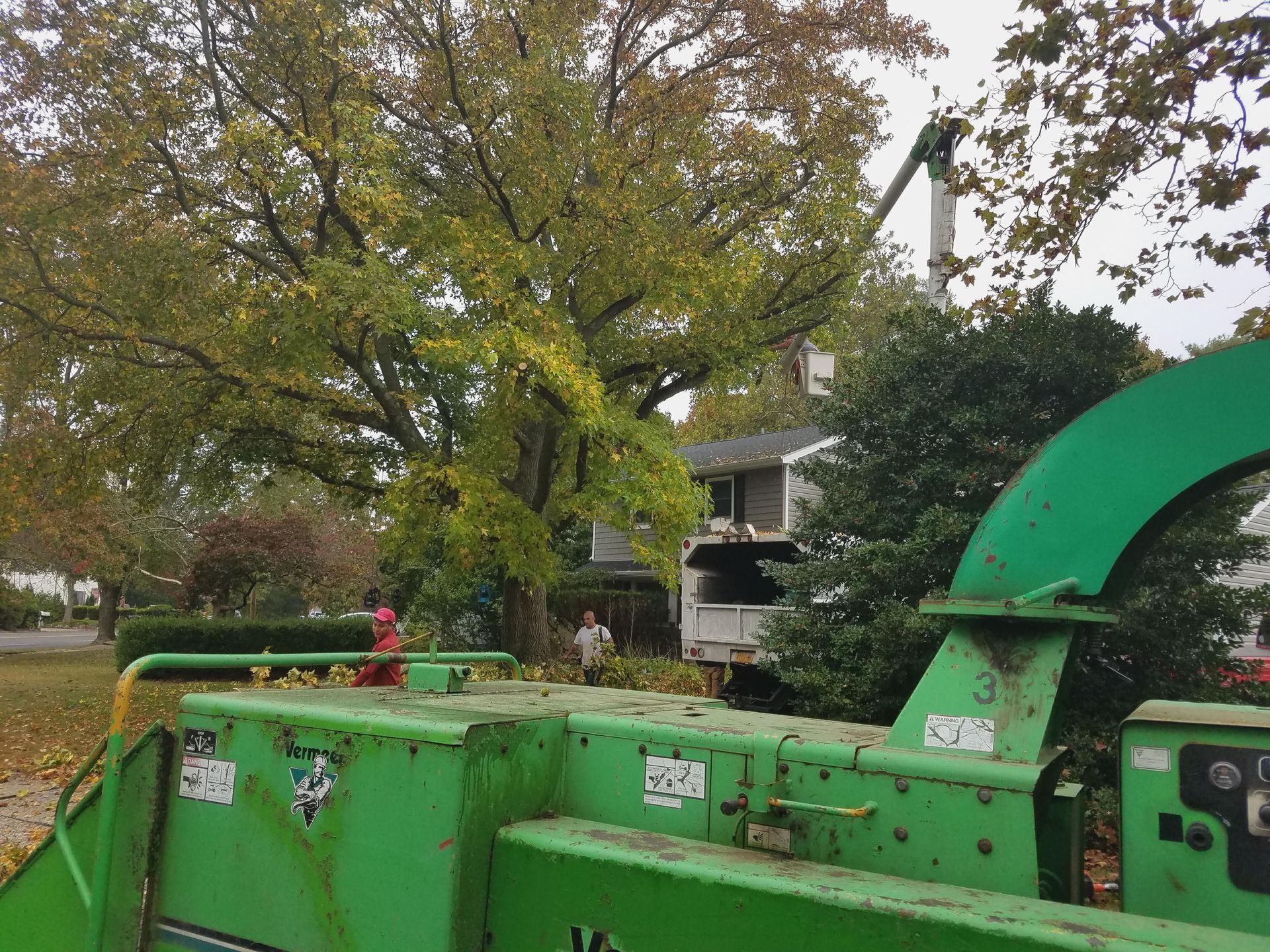 Green wood chipper in a yard with autumn trees and a house in the background