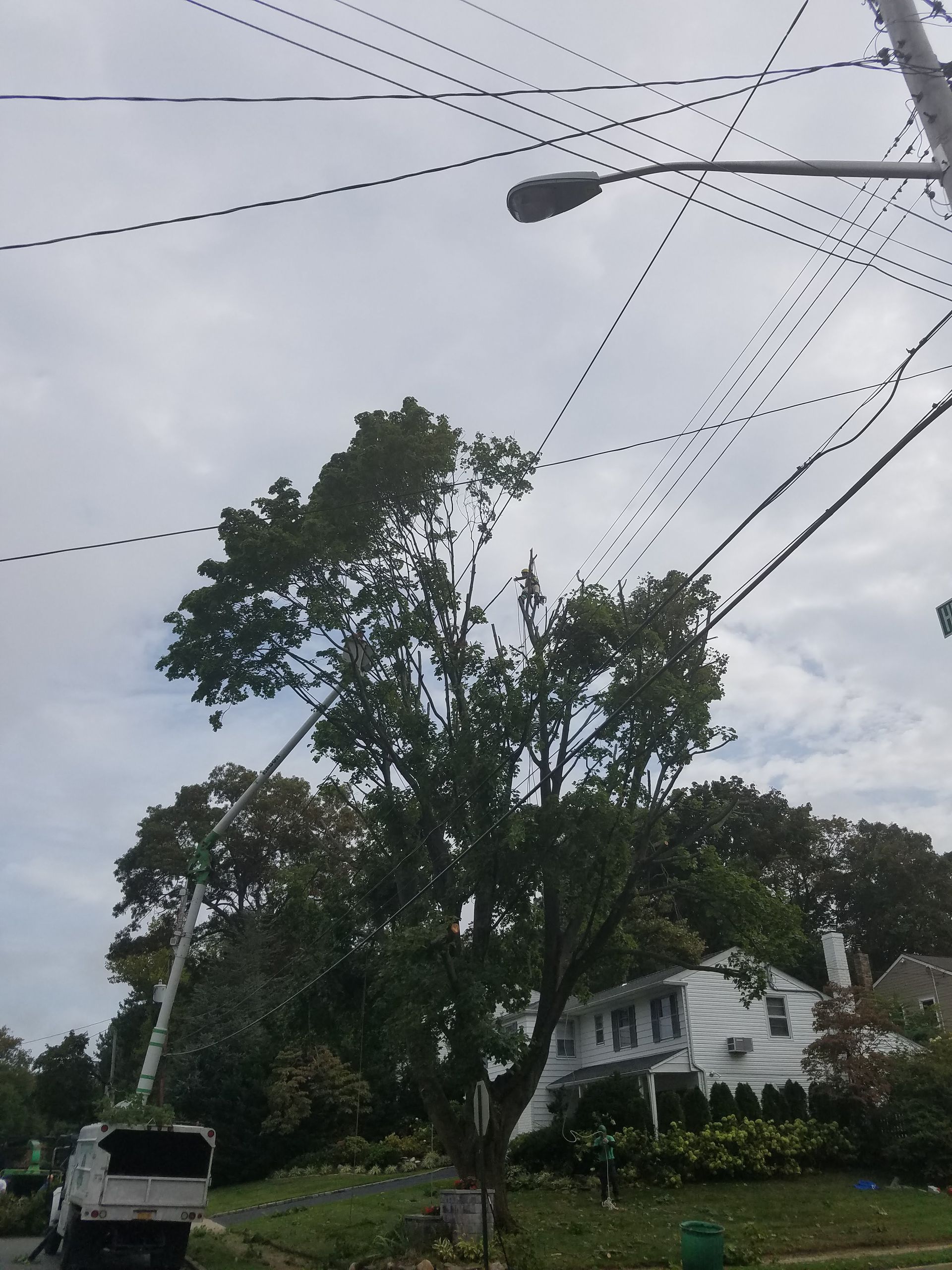 Tree-lined residential street with power lines overhead and a white house under a cloudy sky