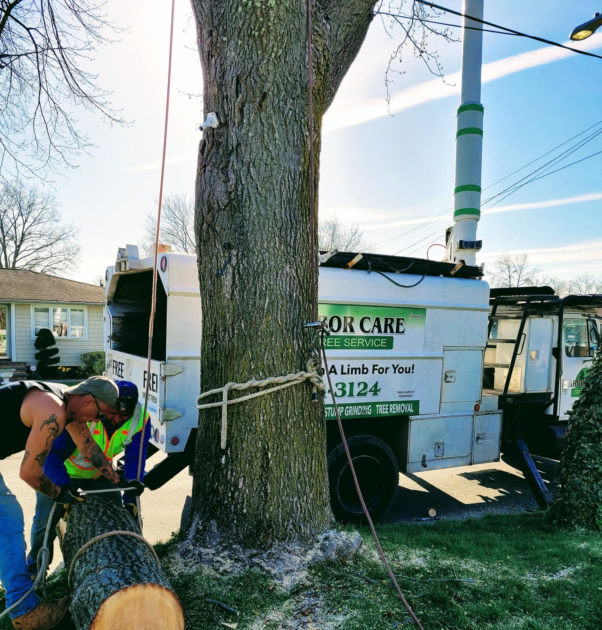 Tree in front of utility truck while worker in safety vest handles rope near a sign.