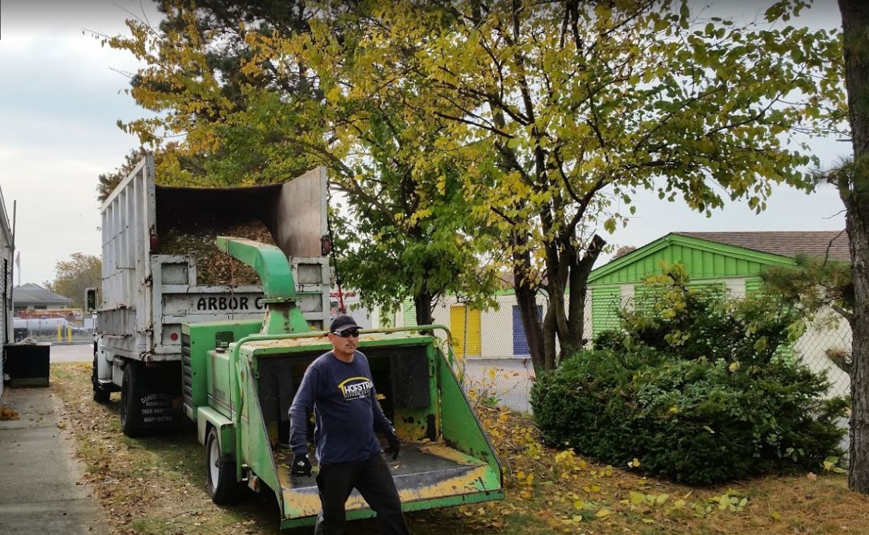 Worker standing beside a green garbage truck on a tree-lined street, lifting leaves and debris.