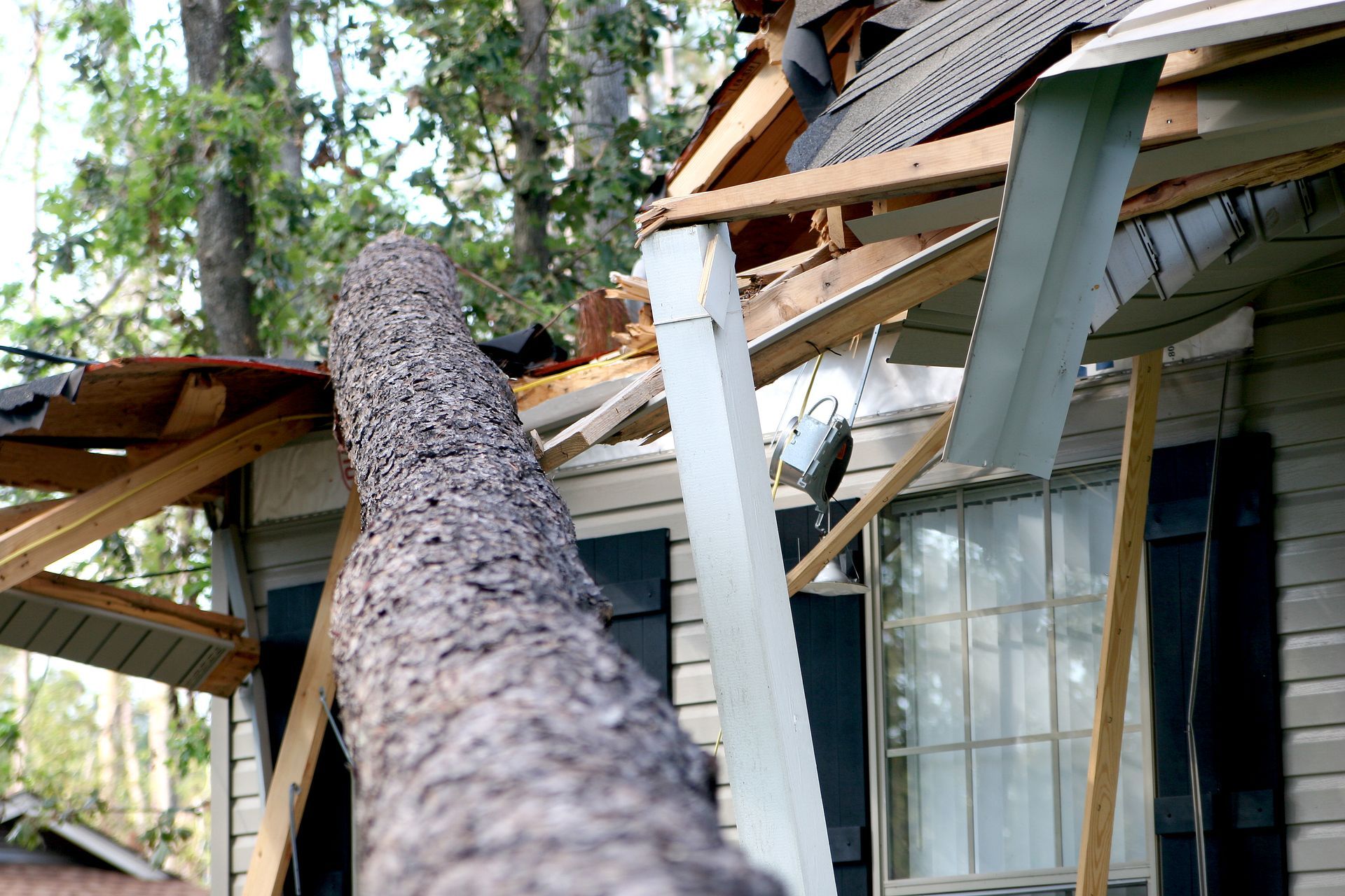 A tree is blown over to hit a house during a hurricane.] 