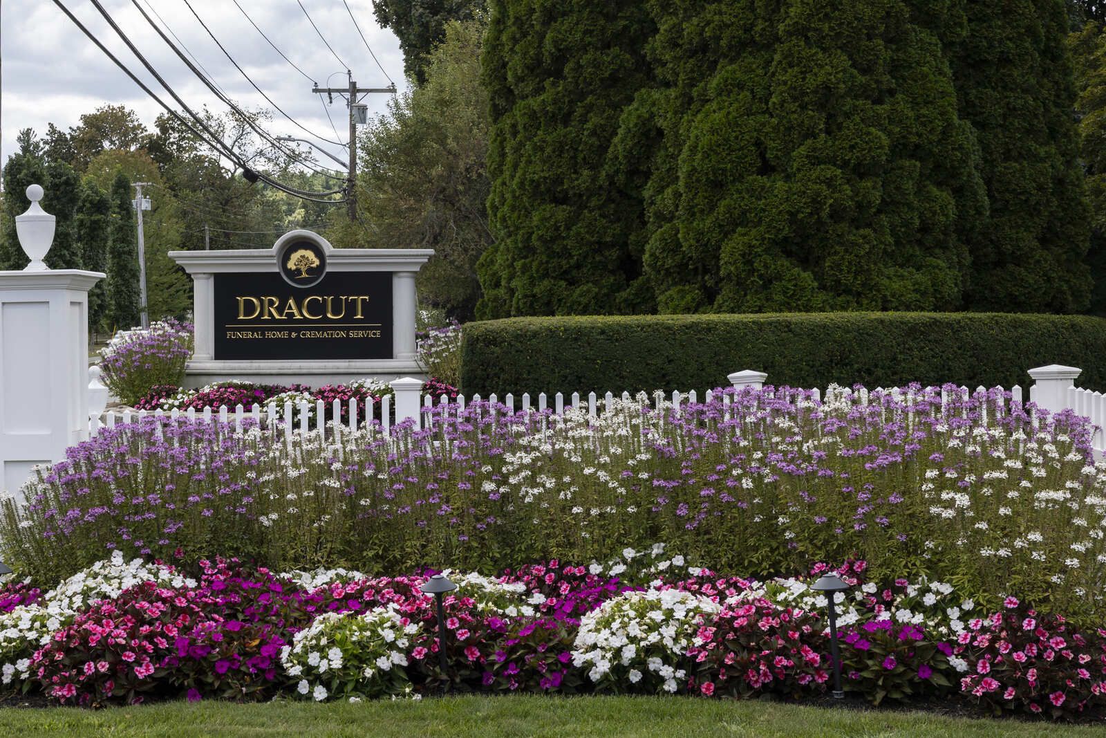 Tracuit entrance sign with white fence and purple-and-white flowers in front of tall evergreens