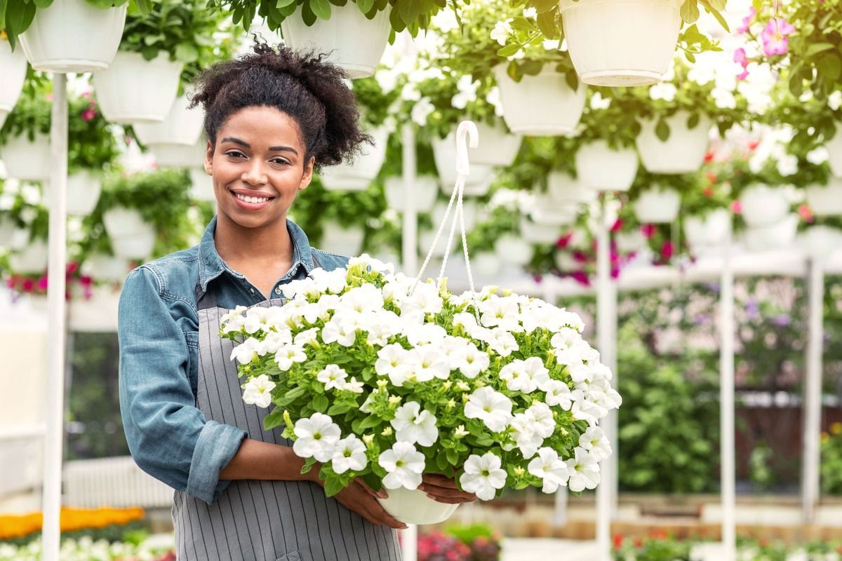 Person holding a basket of white flowers in a greenhouse, smiling among hanging plants.