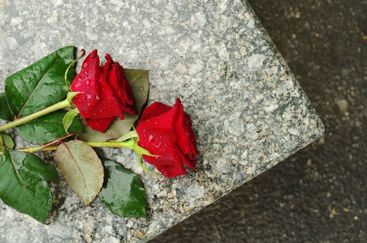 Two red roses on a gray stone surface with green leaves
