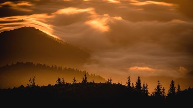 Men Suffering? Triggers? Avoiding Healing
