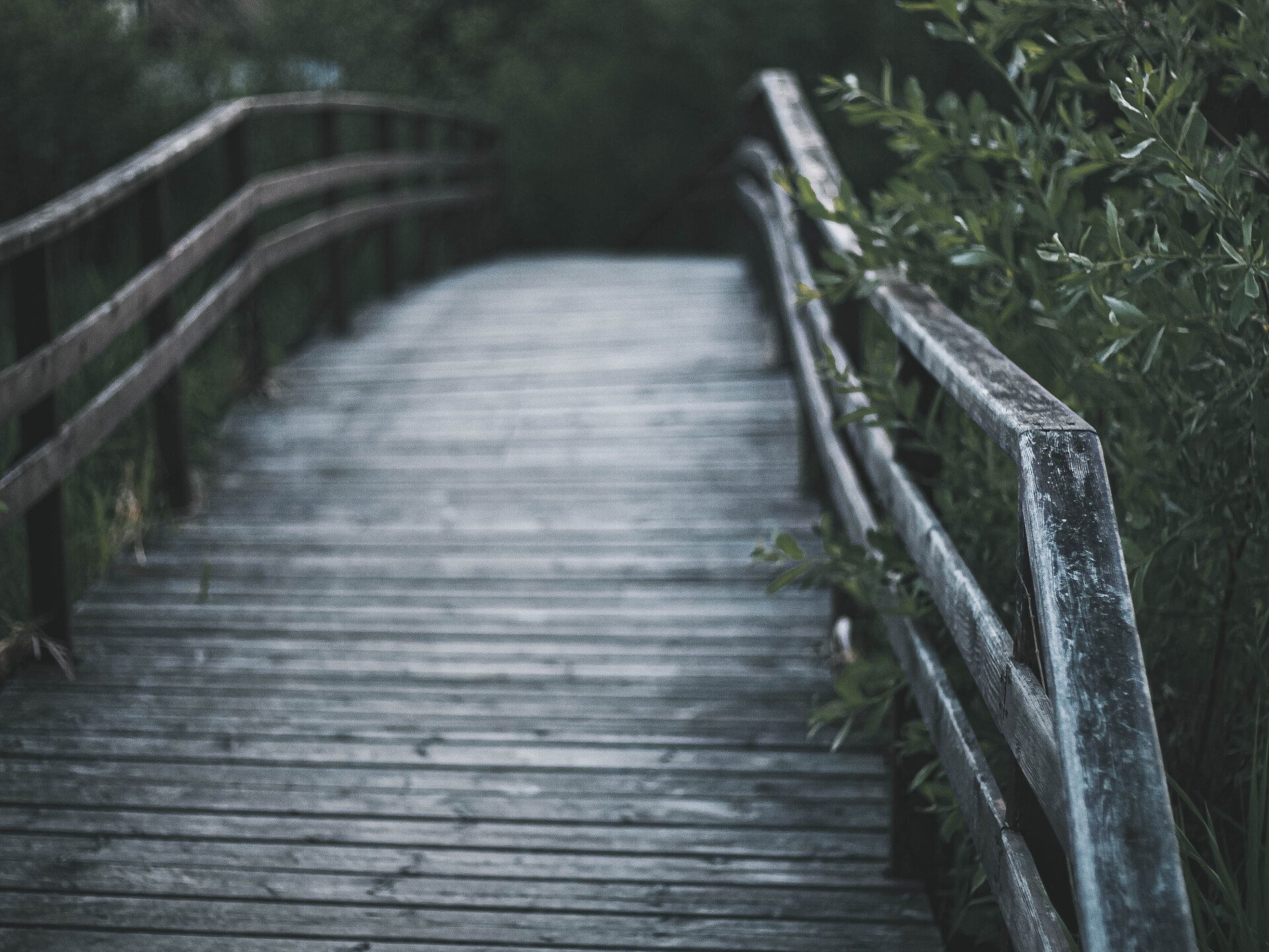 Permanent Alcohol/Addiction/Life Recovery