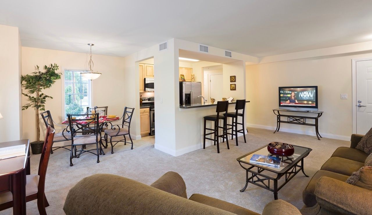 Open-concept living room with sofa, coffee table, dining set, and kitchen bar.