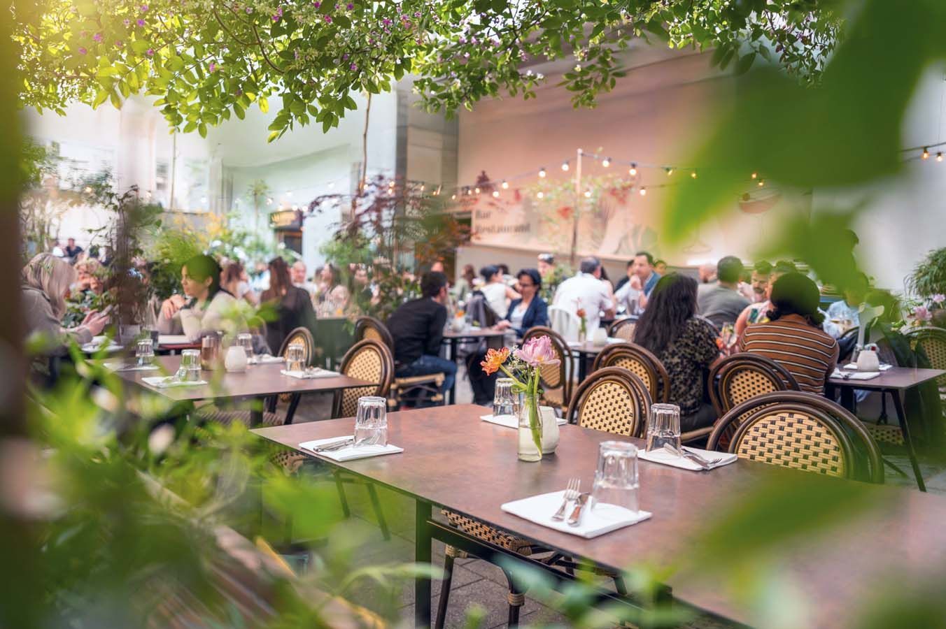 Straßencafé mit Korbstühlen und Gästen, die unter schattigen Bäumen und warmen Lichterketten speisen.