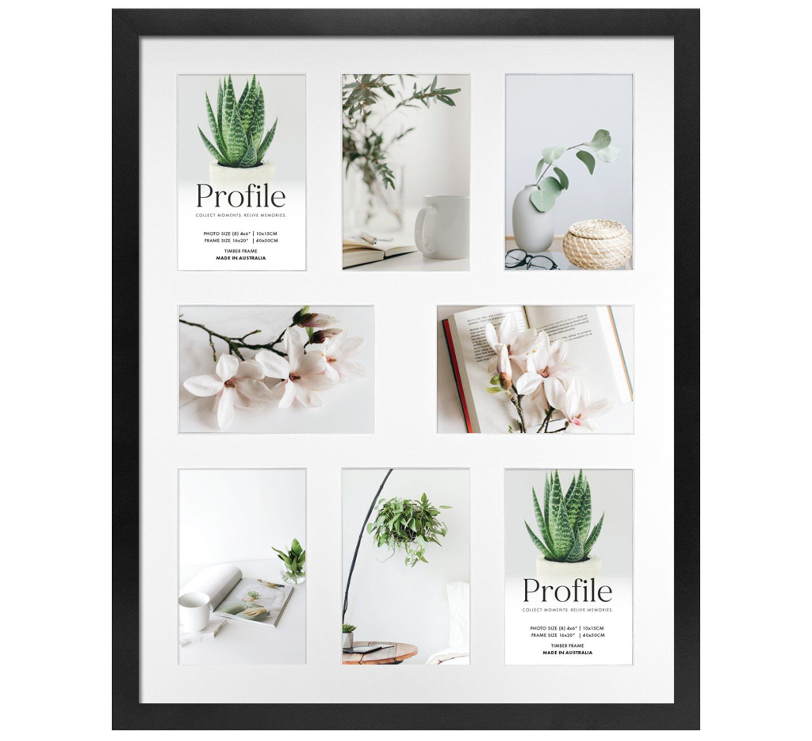 Black framed collage of six minimalist botanical prints on white background